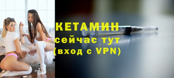шишки Горно-Алтайск