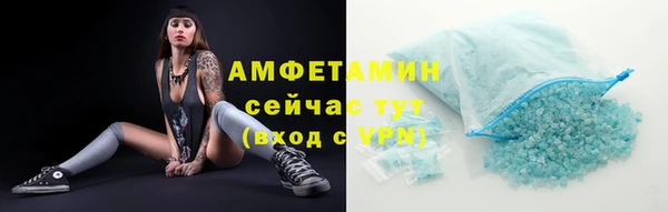 шишки Горно-Алтайск