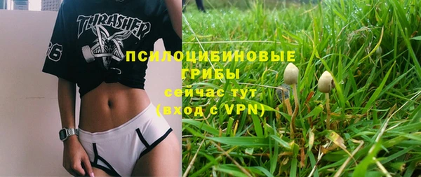 шишки Горно-Алтайск