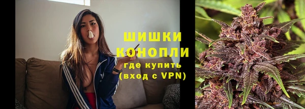 шишки Горно-Алтайск